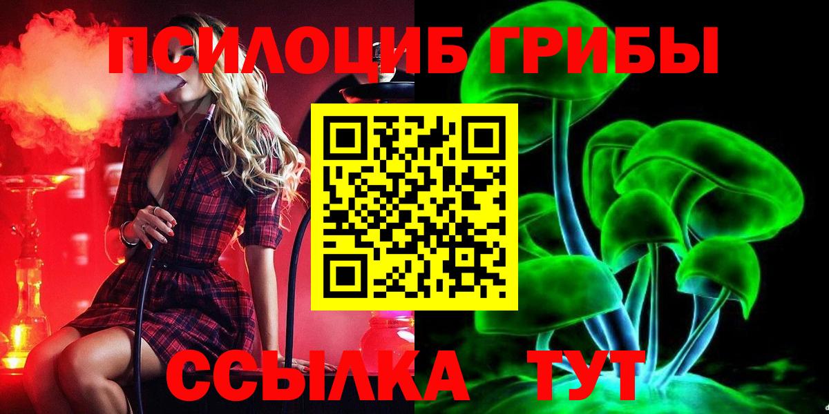 Бутурлиновка  Псилоцибиновые грибы Cubensis  Вход с VPN 
